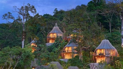 Treehouse Thailand .